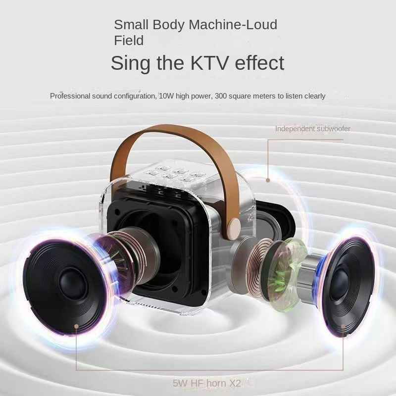 Wireless Bluetooth Microphone Speaker with Karaoke Function, Portable All-in-One Home KTV Set